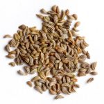 essential-oil-ingredient-parsley-seeds.jpg