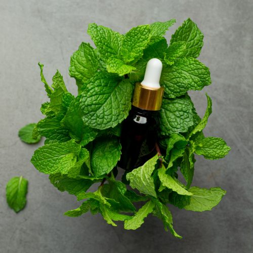essential-oil-peppermint.jpg